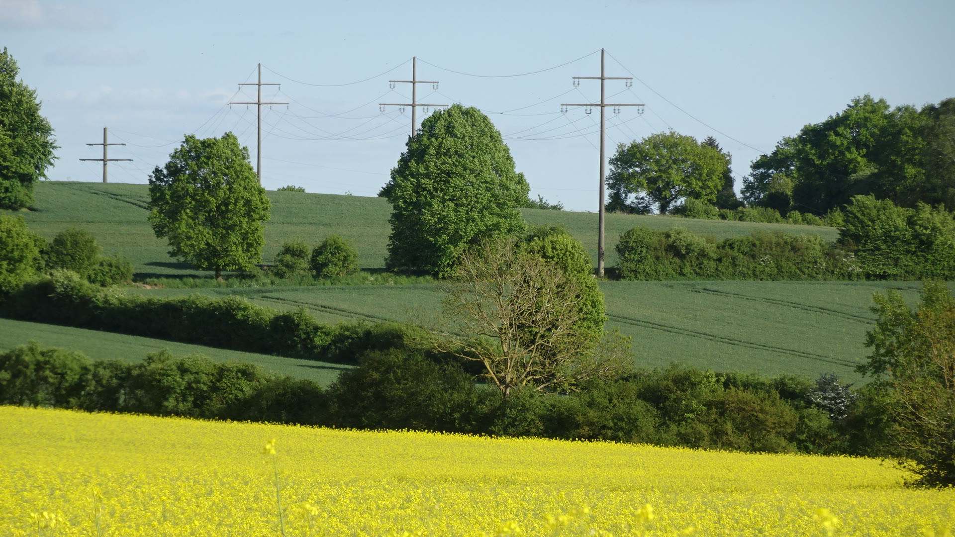 Landwirtschaftliche Fläche an einer Stromtrasse